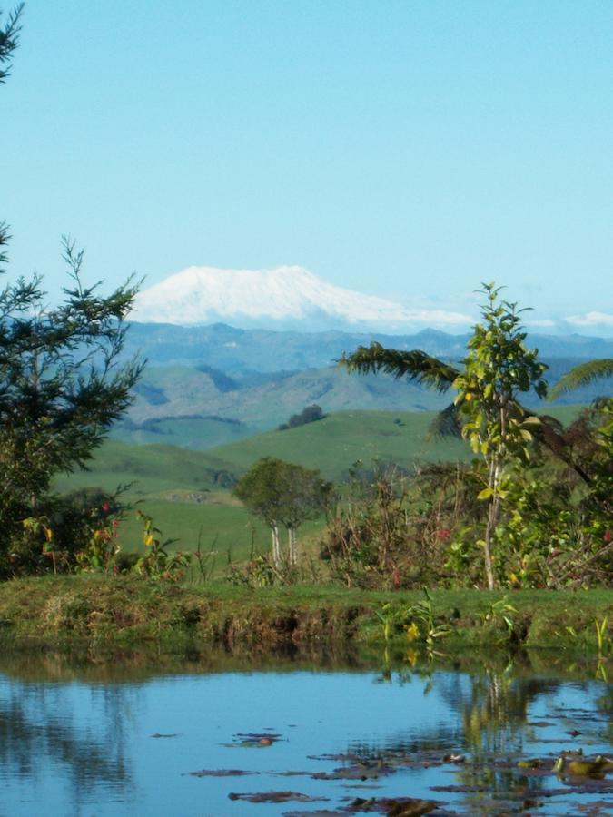 Waitomo Boutique Lodge Buitenkant foto