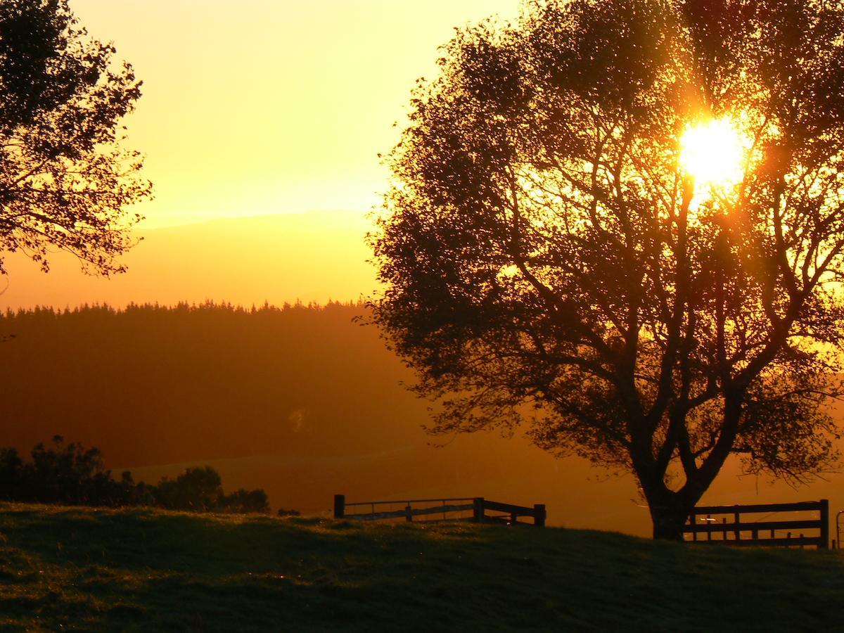 Waitomo Boutique Lodge Buitenkant foto