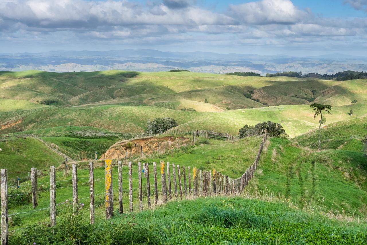 Waitomo Boutique Lodge Buitenkant foto